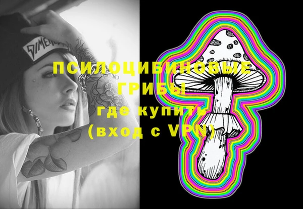 дживик Пересвет