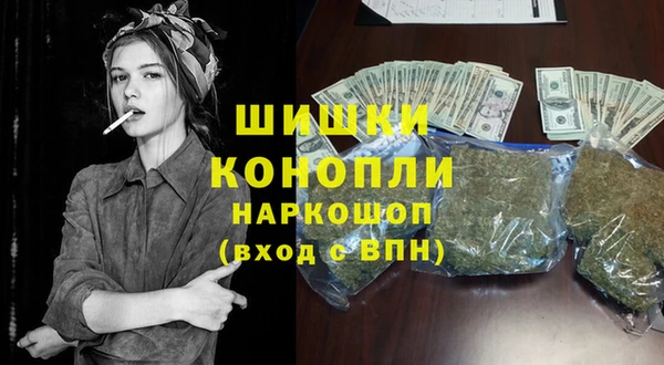 дживик Пересвет