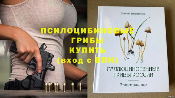 скорость Алексин