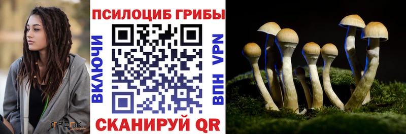 купить наркотики цена  Инсар  Галлюциногенные грибы прущие грибы 